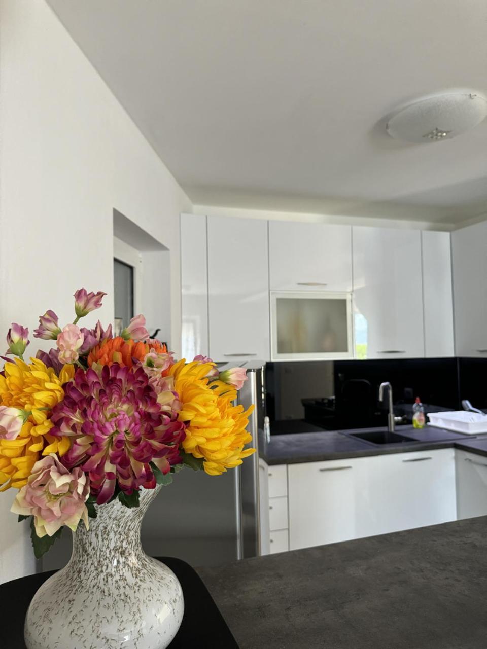 Heart Of Stone Apartamento Tulisevica Exterior foto